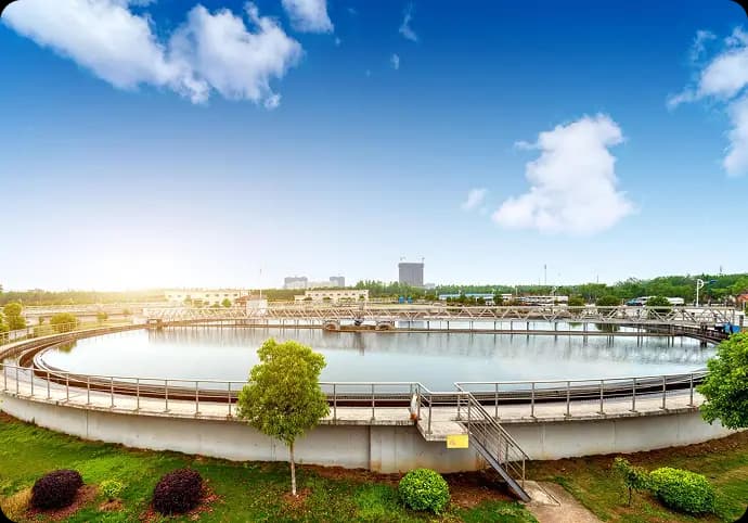 Why Choose Our STP Plant Solutions?